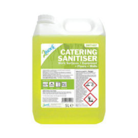 2Work Catering Sanitiser Odourless 5 Litre – surface cleaners & disinfectants