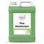 Clenli Direct Pine Disinfectant 5L – surface cleaners & disinfectants