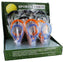 Magnifying Glass Disp Sports M01Rubd (Pack of 3)