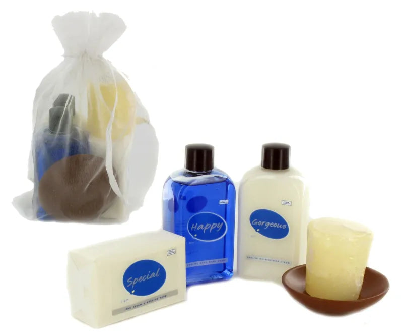 Arran Cosmetics Gift Bag(Hp) (Pack of 6)