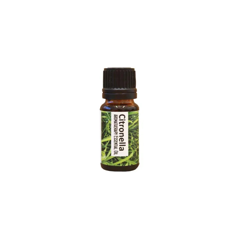 Citronella Aromatherapy Essential Oils Regent (Pack of 6)