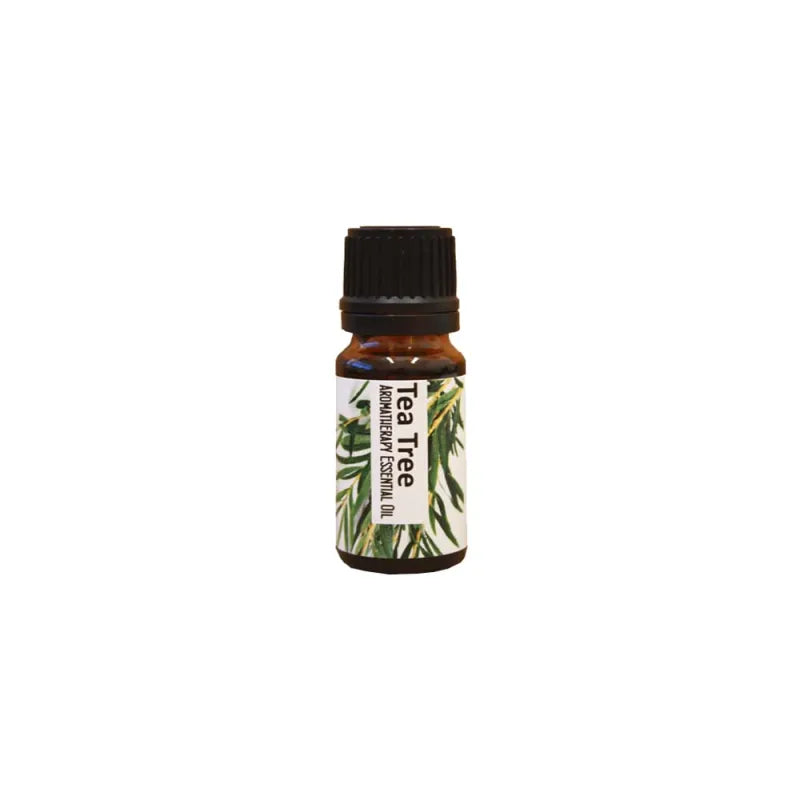 Tea Tree Aromatherapy Essential Oils Regent (Pack of 6)