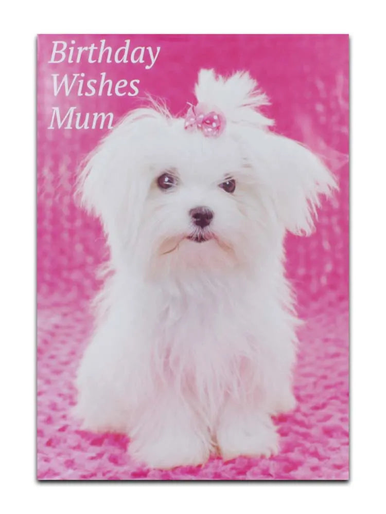Cards Mum (No.34) Birthday (Pack of 12)