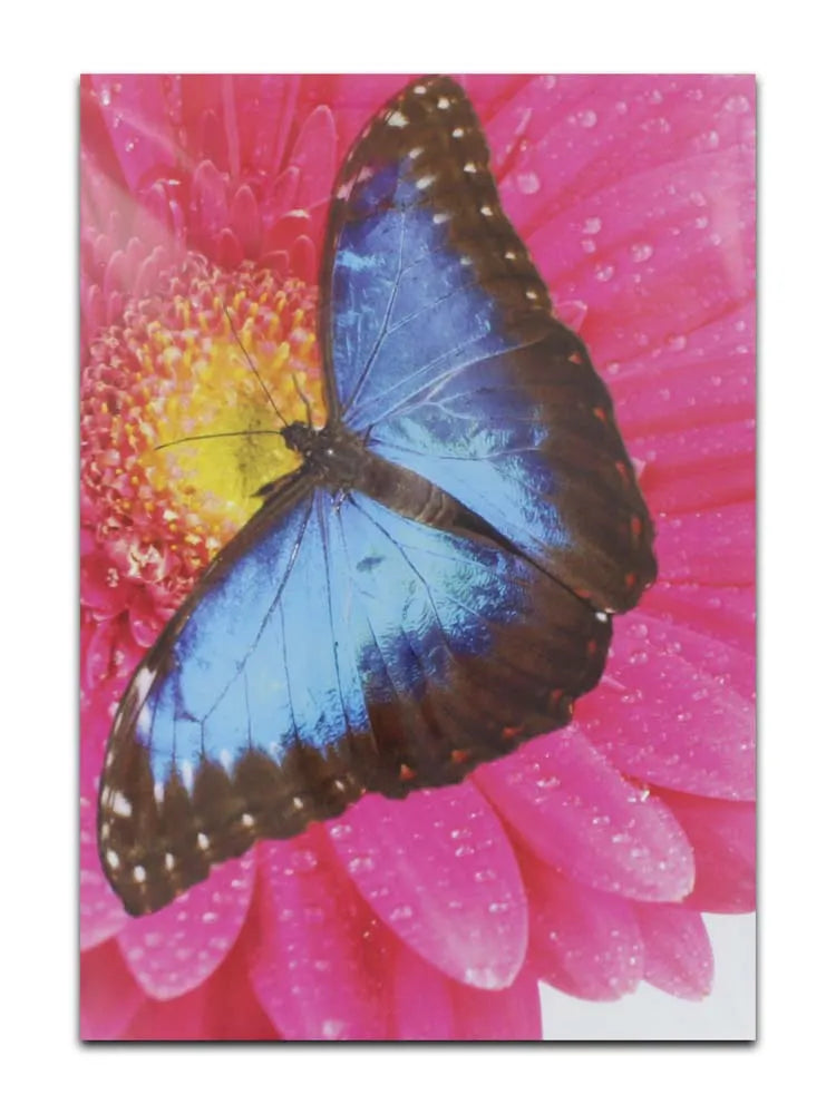 Cards Blank (No.57) (Pack of 12)