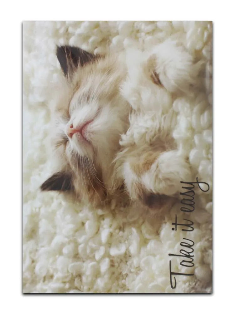 Cards Blank (No.61) (Pack of 12)