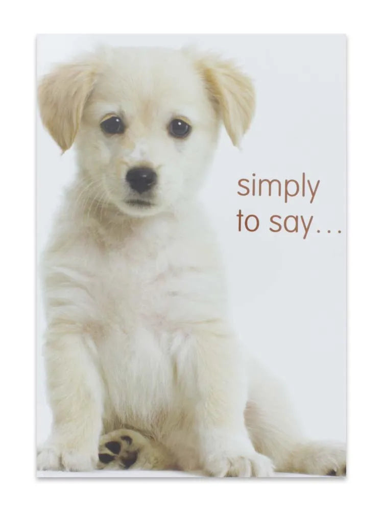 Cards Simply To Say (No.63) (Pack of 12)