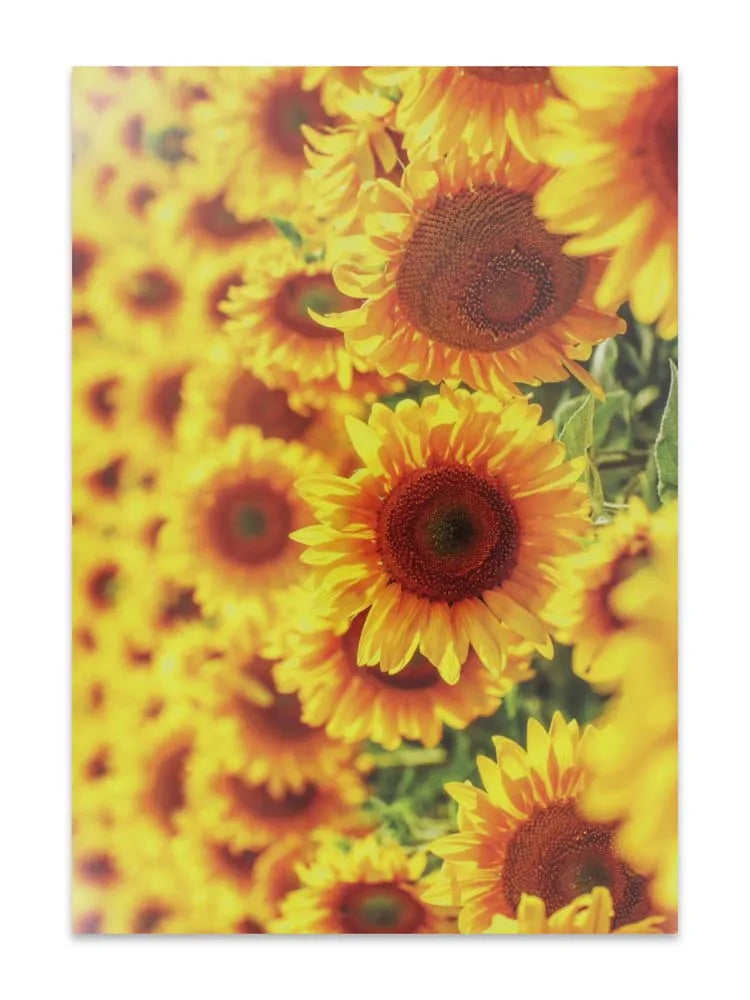 Cards Thinking Of You (No.64) (Pack of 12)