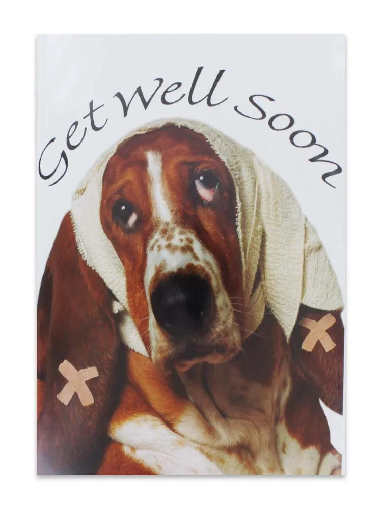 Cards Get Well Soon (No.71) (Pack of 12)