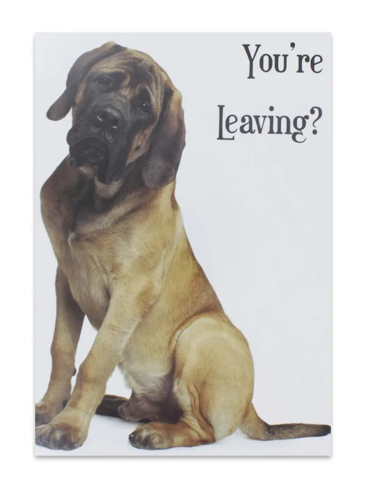 Cards Sorry/Leaving (No.72) (Pack of 12)