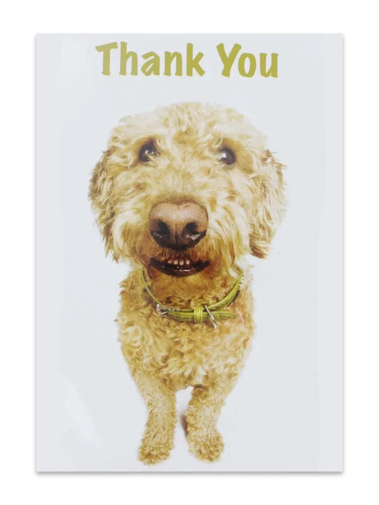 Cards Thank You (No.76) (Pack of 12)