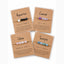 Zodiac Bracelet Assorted – jewellery