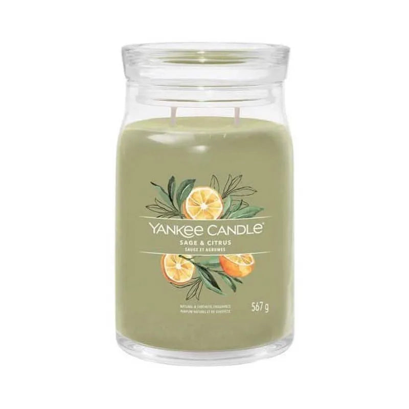 Yankee Signature Sage & Citrus 567G Candle X4 (Pack of 4)
