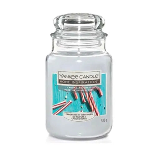 Yankee Candy Cane Forest 538G X 4 (Pack of 4)