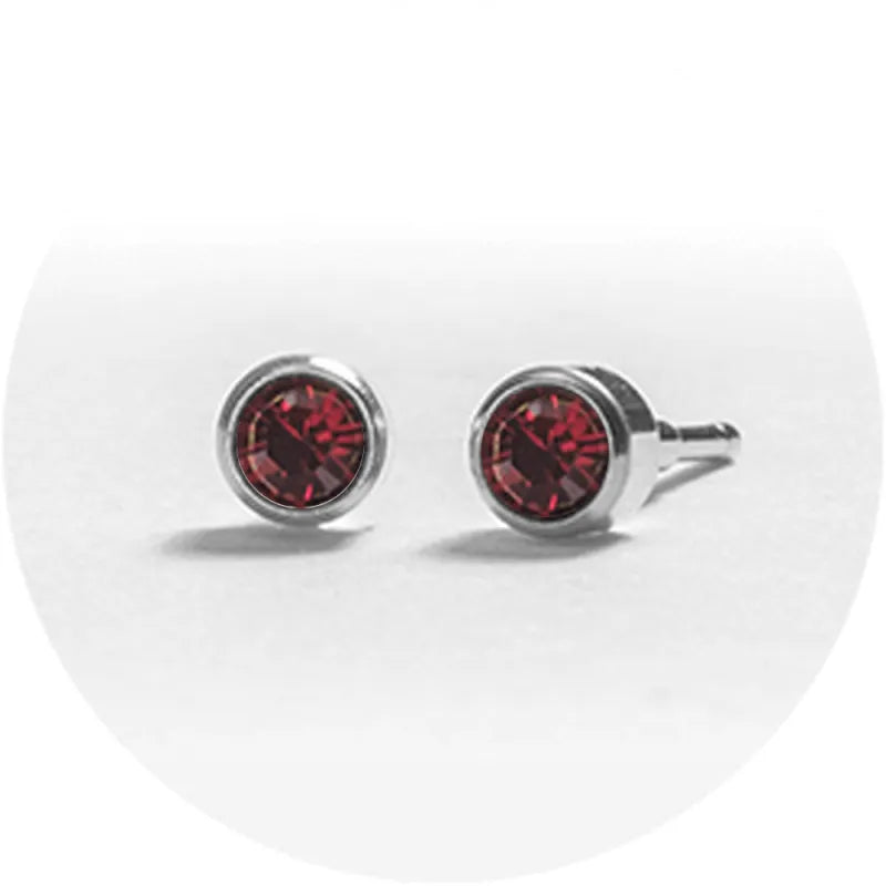 System 2000 Ear Studs January Silver X 12 (Pack of 12)