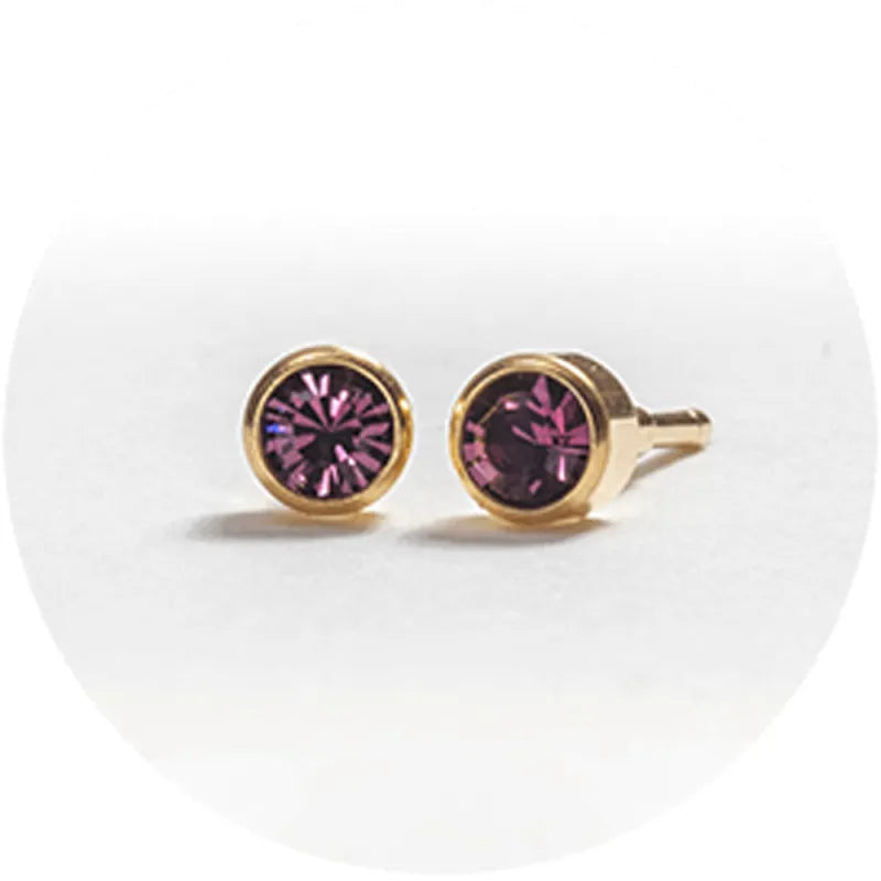 System 2000 Ear Studs February Gold X 12 (Pack of 12)