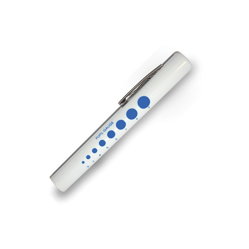 Disposable Pen Torches 6's