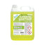 2Work Catering Sanitiser Odourless 5 Litre – surface cleaners & disinfectants