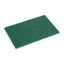 Jantex Large Scouring Pads - Green (10 pack) – cleaning & hygiene supplies