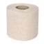 Jantex Green 100% Recycled Toilet Roll 2ply 320 Sheets (36 Pack) – toilet tissue & rolls
