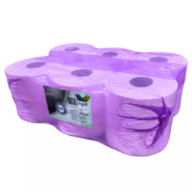 Mini Jumbo 2 Ply Paper Toilet Roll 12 X 150M – toilet tissue & rolls
