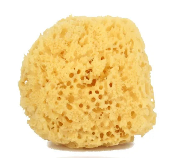 Natural Sponge No.1 M090 (Pack of 3)