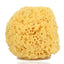 Natural Sponge No.2 C010 (Pack of 3)