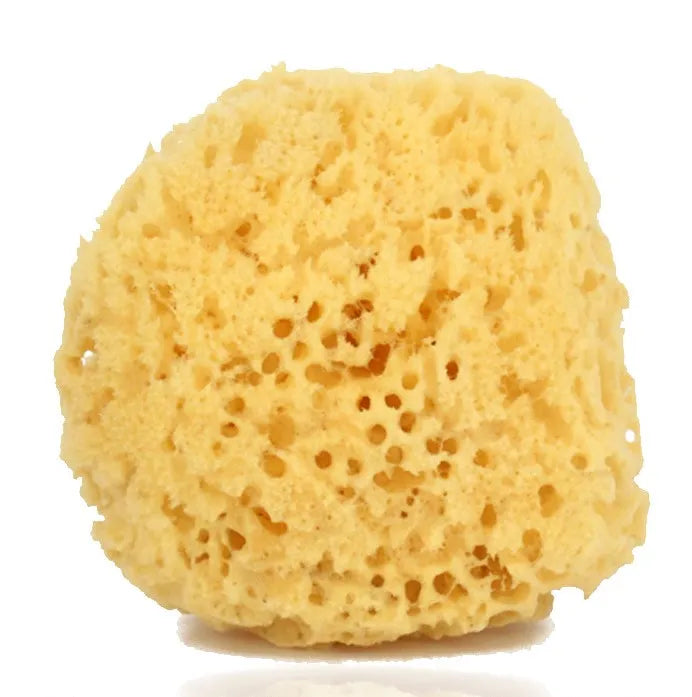 Natural Sponge No.2 C010 (Pack of 3)
