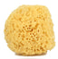 Natural Sponge G2 (Pack of 3)