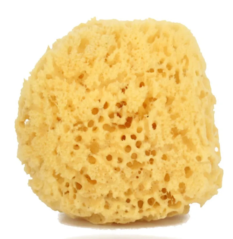 Natural Sponge G2 (Pack of 3)