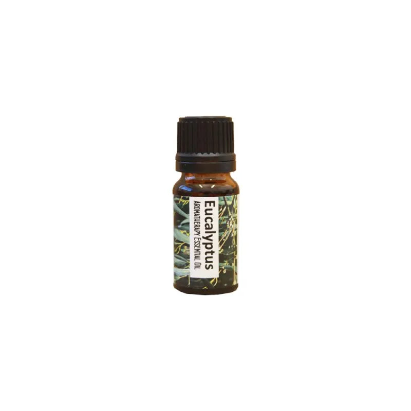 Eucalyptus Aromatherapy Essential Oils Regent (Pack of 6)