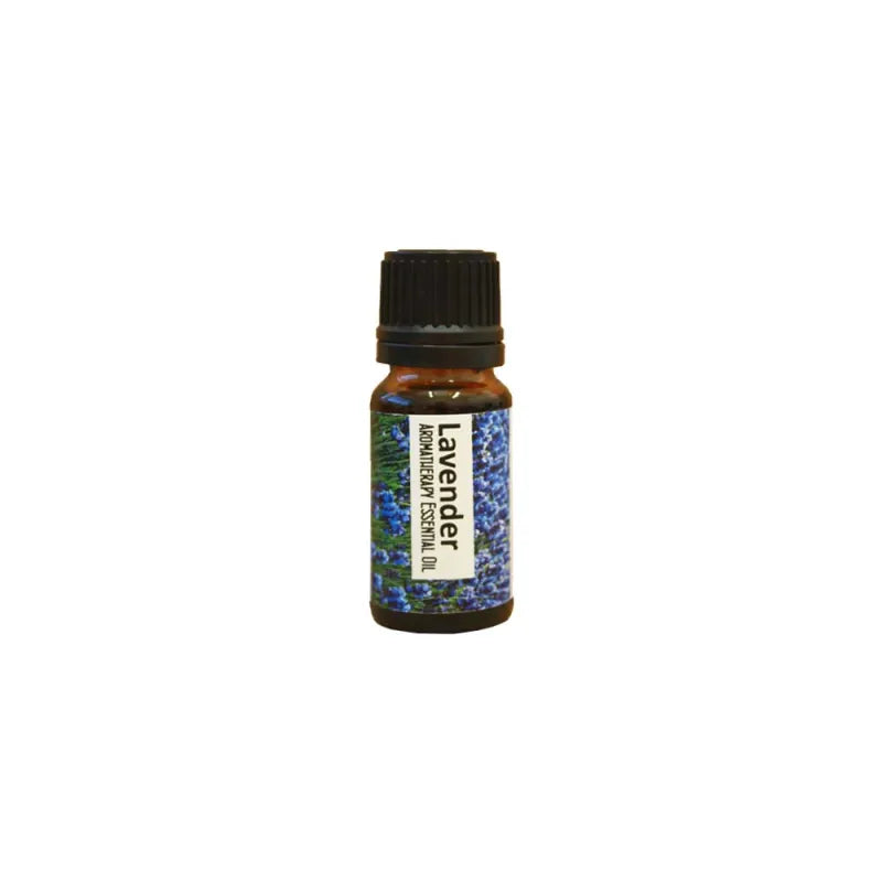Lavender Aromatherapy Essential Oils Regent (Pack of 6)