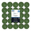Mainstay 50 Tealights Scented Alpine Forest (Pack of 12)