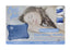Cosy Joe Electric Hot Water Bottle Blue (Pack of 3)