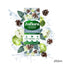 Zoflora Winter Morning 250ML (Pack of 6)