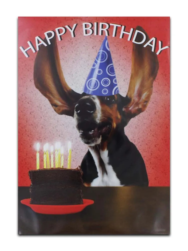 Cards Open Male (No.12) Birthday (Pack of 12)