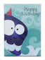 Cards Open Male (No.15) Birthday (Pack of 12)