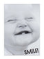 Cards Open Male (No.17) Birthday (Pack of 12)