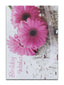 Cards Open Female (No.23) Birthday (Pack of 12)
