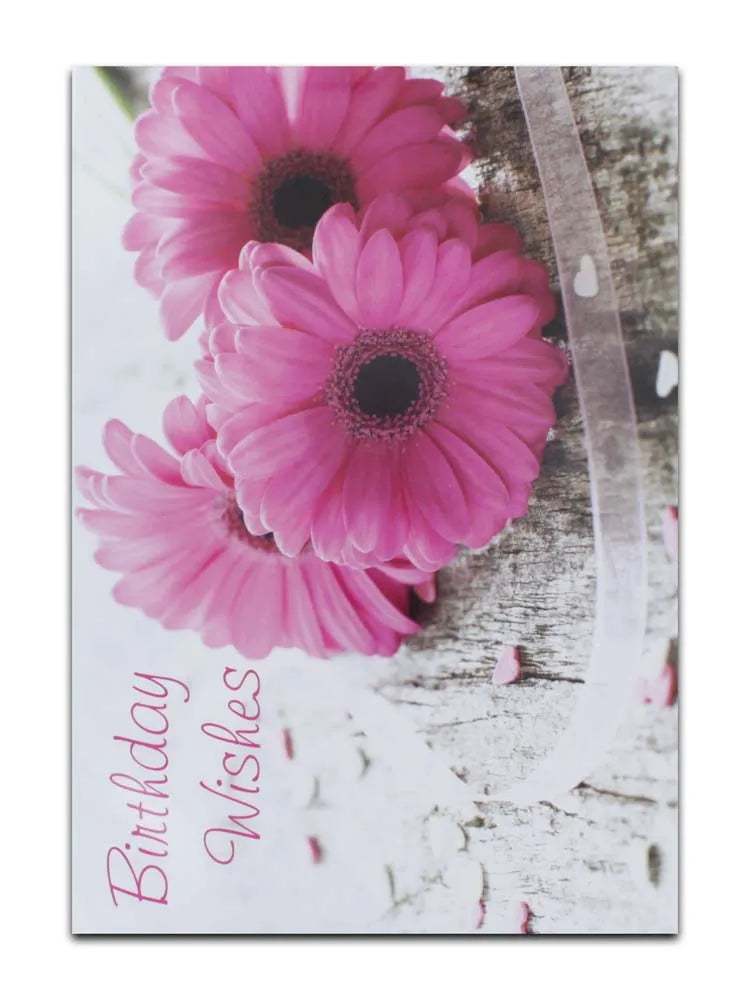 Cards Open Female (No.23) Birthday (Pack of 12)
