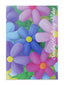 Cards Open Female (No.28) Birthday (Pack of 12)