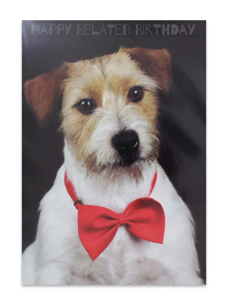 Cards Belated Male (No.32) Birthday (Pack of 12)