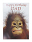 Cards Dad (No.36) Birthday (Pack of 12)