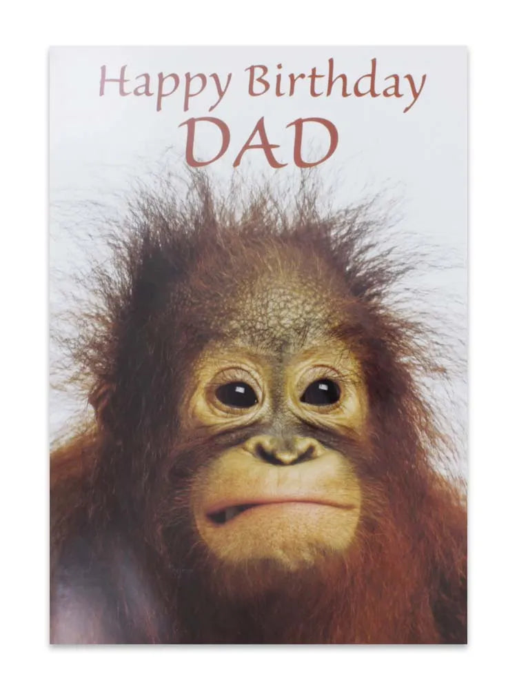 Cards Dad (No.36) Birthday (Pack of 12)