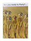 Cards Humour (No.4) Birthday (Pack of 12)