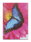Cards Blank (No.57) (Pack of 12)