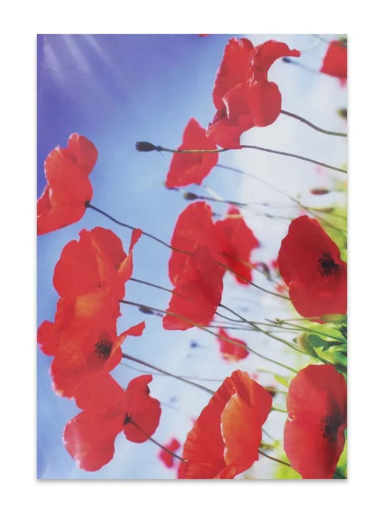 Cards Blank (No.58) (Pack of 12)
