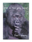 Cards Humour (No.6) Birthday (Pack of 12)
