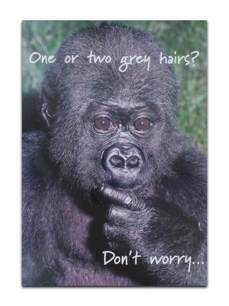 Cards Humour (No.6) Birthday (Pack of 12)