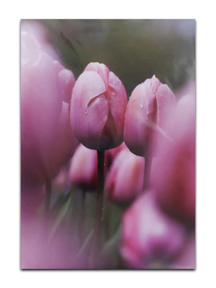Cards Blank (No.62) (Pack of 12)