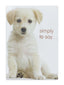 Cards Simply To Say (No.63) (Pack of 12)
